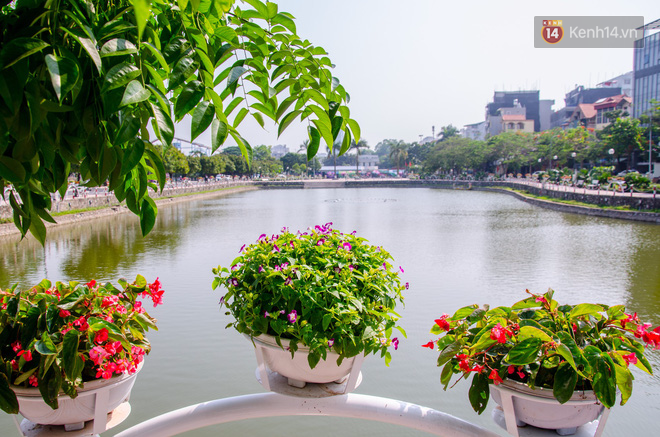 Phố Trịnh Công Sơn gấp rút hoàn thiện trước ngày trở thành không gian đi bộ thứ 2 ở Hà Nội